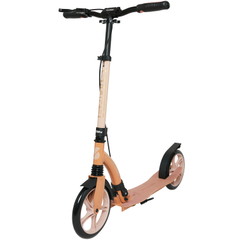 Scooter de transporte Story CityCruiser