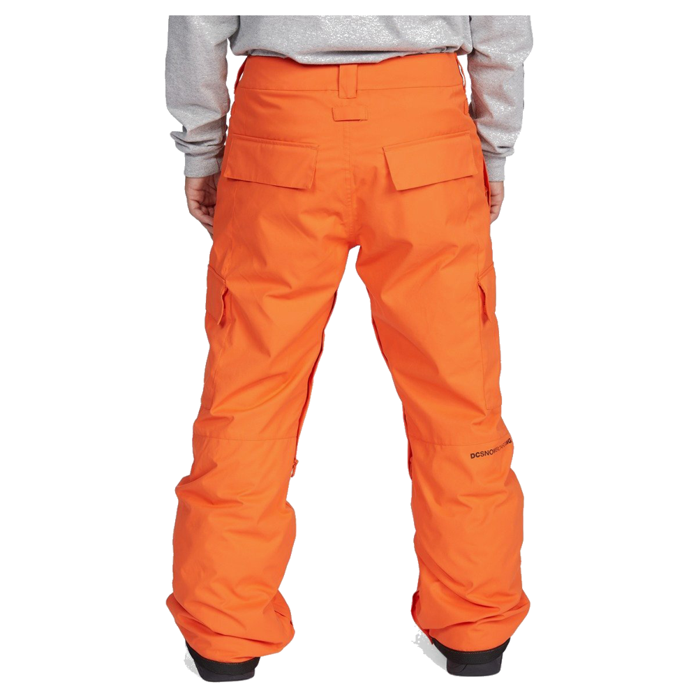 Pantalones de Nieve DC Banshee