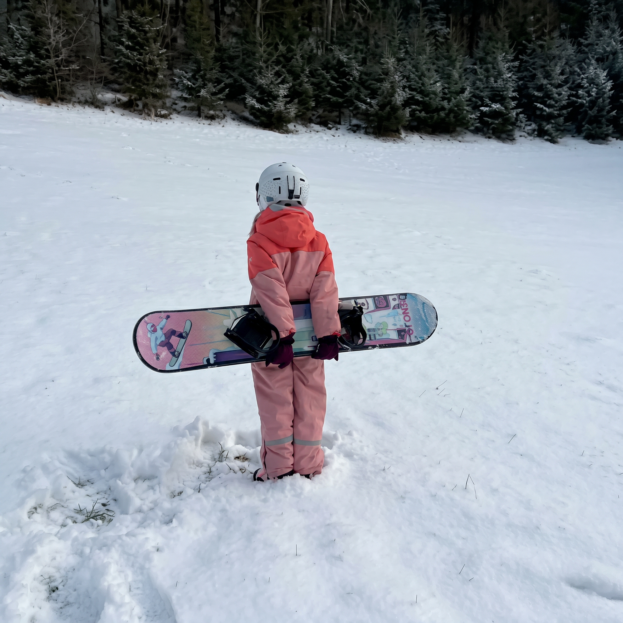 Snowboard Story