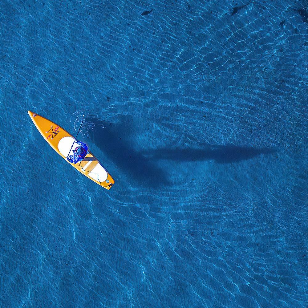 Tabla de SUP Inflable Story Global
