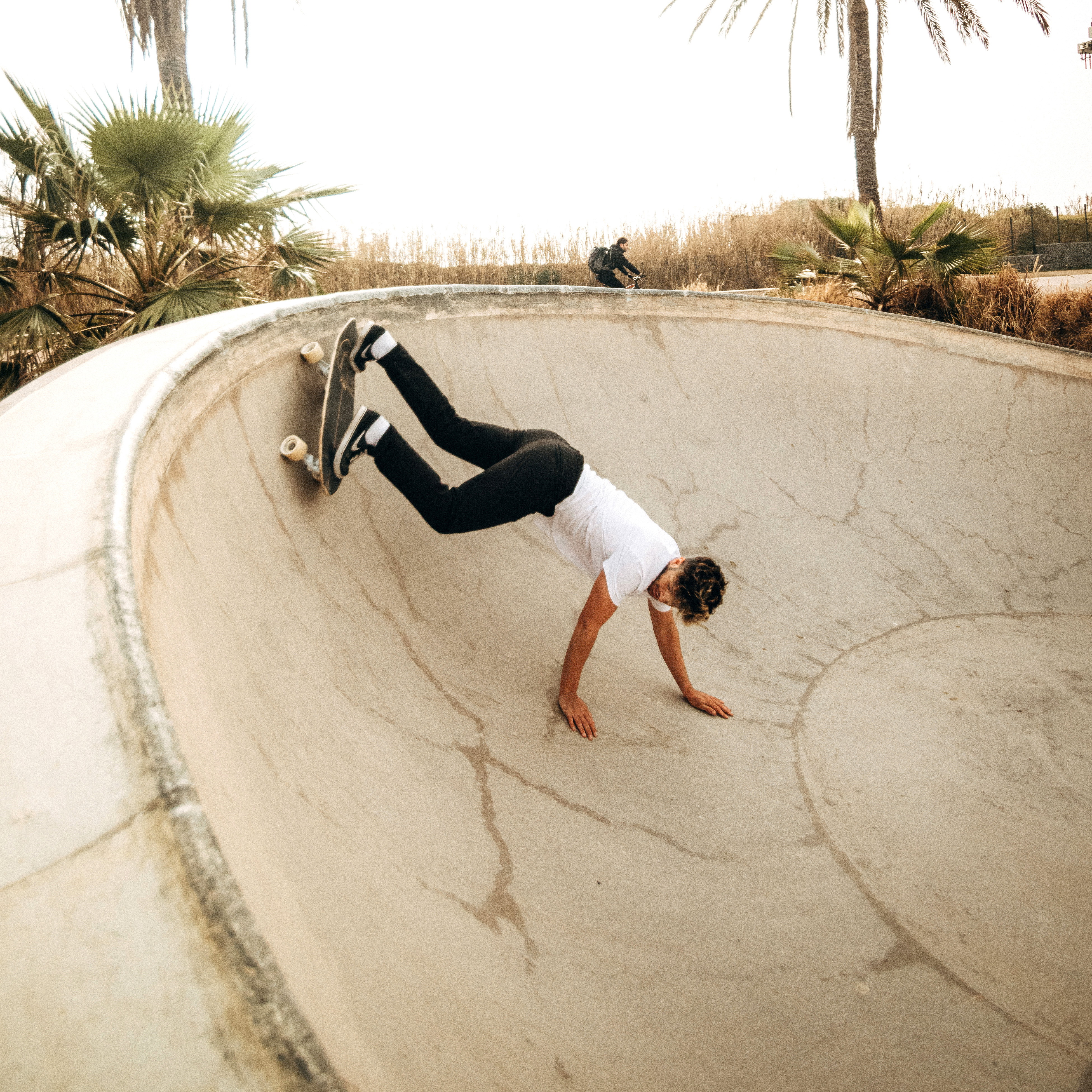 Serie NKX Maverick Surfskate